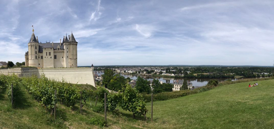Chantier Vigne Vin Etude œnotourisme En Val De Loire Le Vignoble A La Conquete Des Icones Patrimoniales Intelligence Des Patrimoines