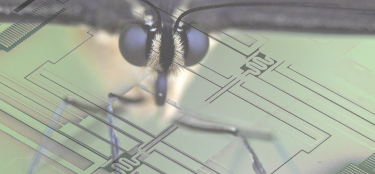 Workshop – Insect bio-inspired microtechnology