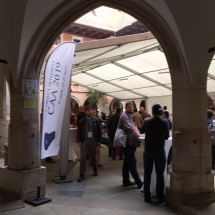 59365117_1023796664674846_13862805811757056_n 59365117_1023796664674846_13862805811757056_n