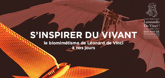 Exposition « S’inspirer du vivant : le biomimétisme de Léonard de Vinci à nos jours » (1er juillet-31 août 2019, Romorantin-Lanthenay)