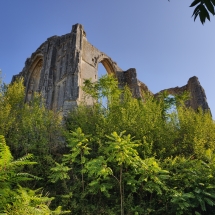 Roches_tranchelion_2 La collégiale des Roches Tranchelion a été abandonnée dans le XVIII siècle.