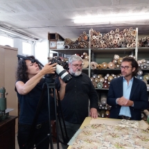 109686005_719348638632371_6045930626504811359_n 109686005_719348638632371_6045930626504811359_n