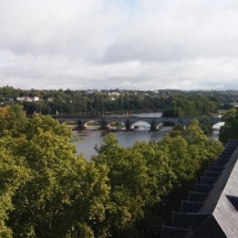 20201001_110542 20201001_110542