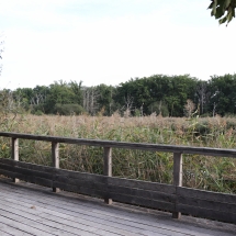 Inauguration La Boussole ©ARD Intelligence des Patrimoines00012 Inauguration La Boussole ©ARD Intelligence des Patrimoines00012