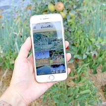 La Boussole ©ARD Intelligence des Patrimoines_retouche La Boussole ©ARD Intelligence des Patrimoines_retouche